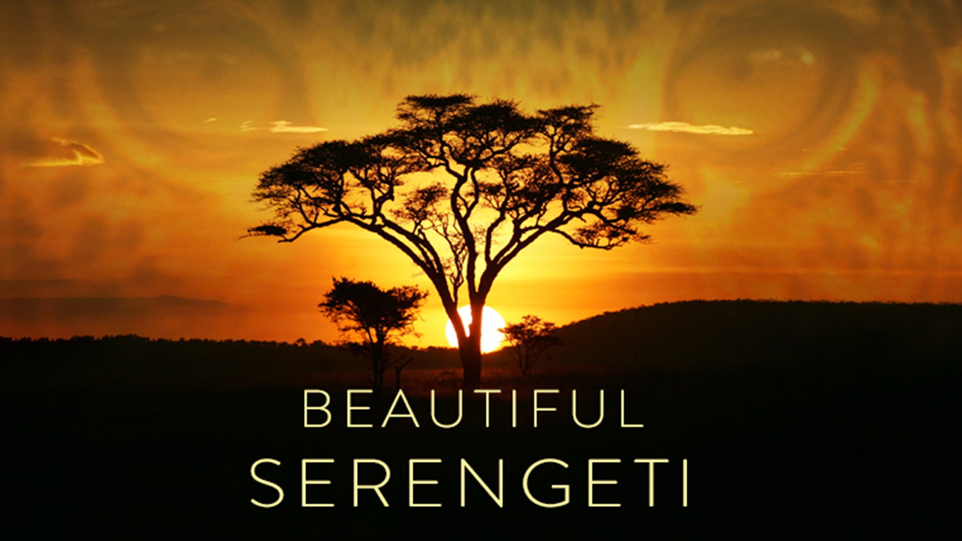 Beautiful Serengeti