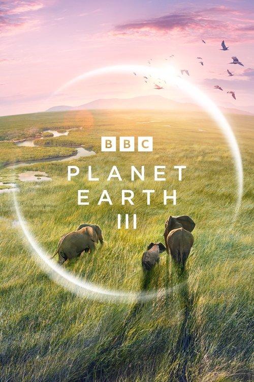 Planeta Tierra III