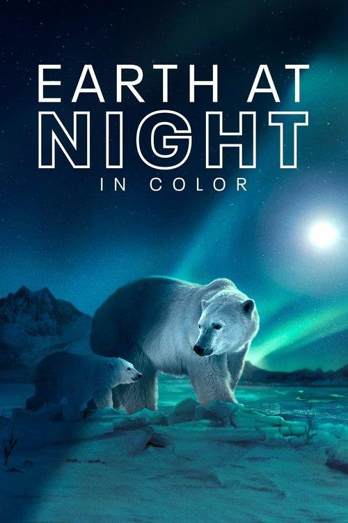 Planeta nocturno: A todo color