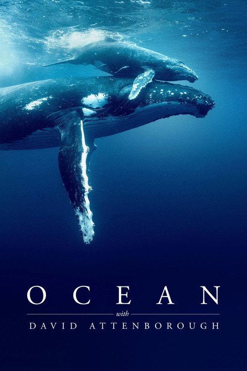 Océanos con David Attenborough