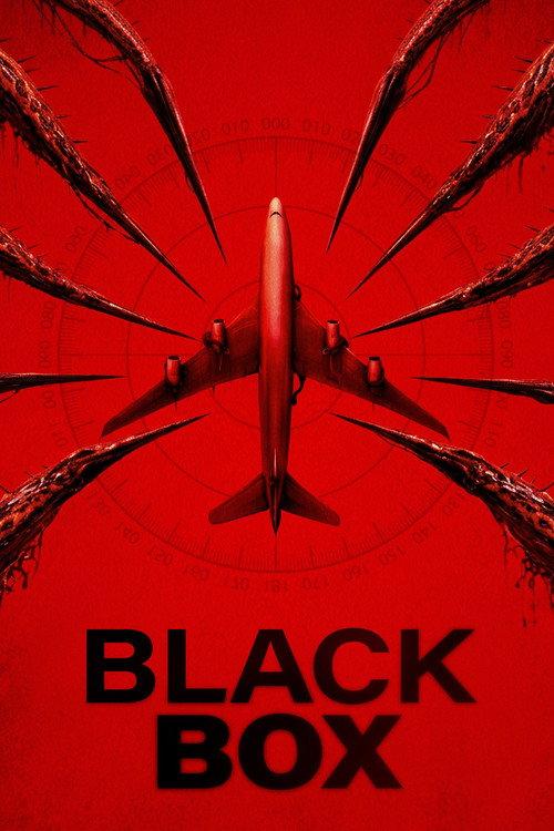 Black Box: Vuelo 298